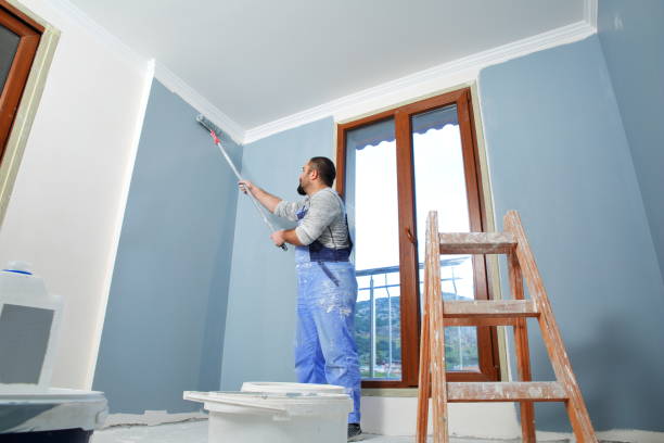 Best Basement Mold Removal  in Hrison, AR