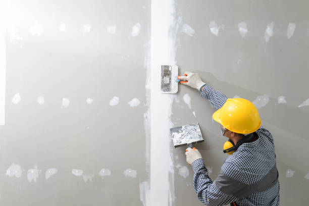 Best Mold Documentation for Insurance Claims  in Hrison, AR