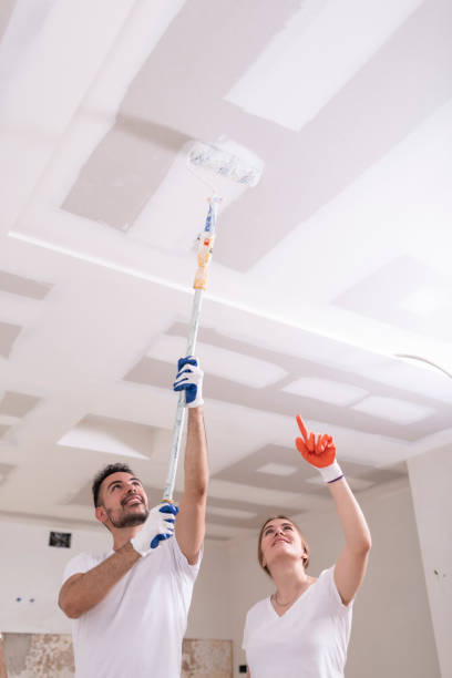 Best Industrial Mold Remediation  in Hrison, AR