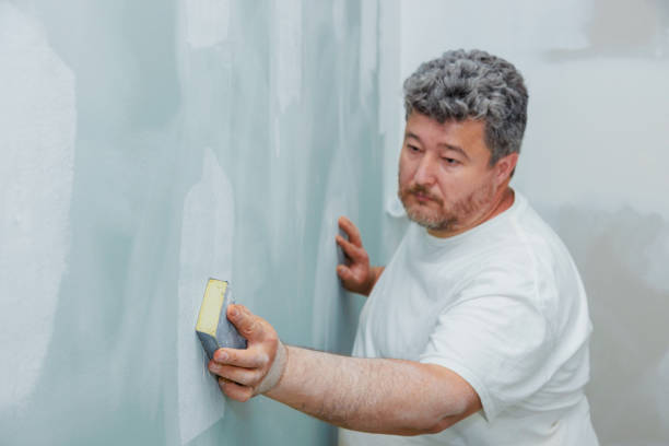 Best Mold Prevention Services  in Hrison, AR